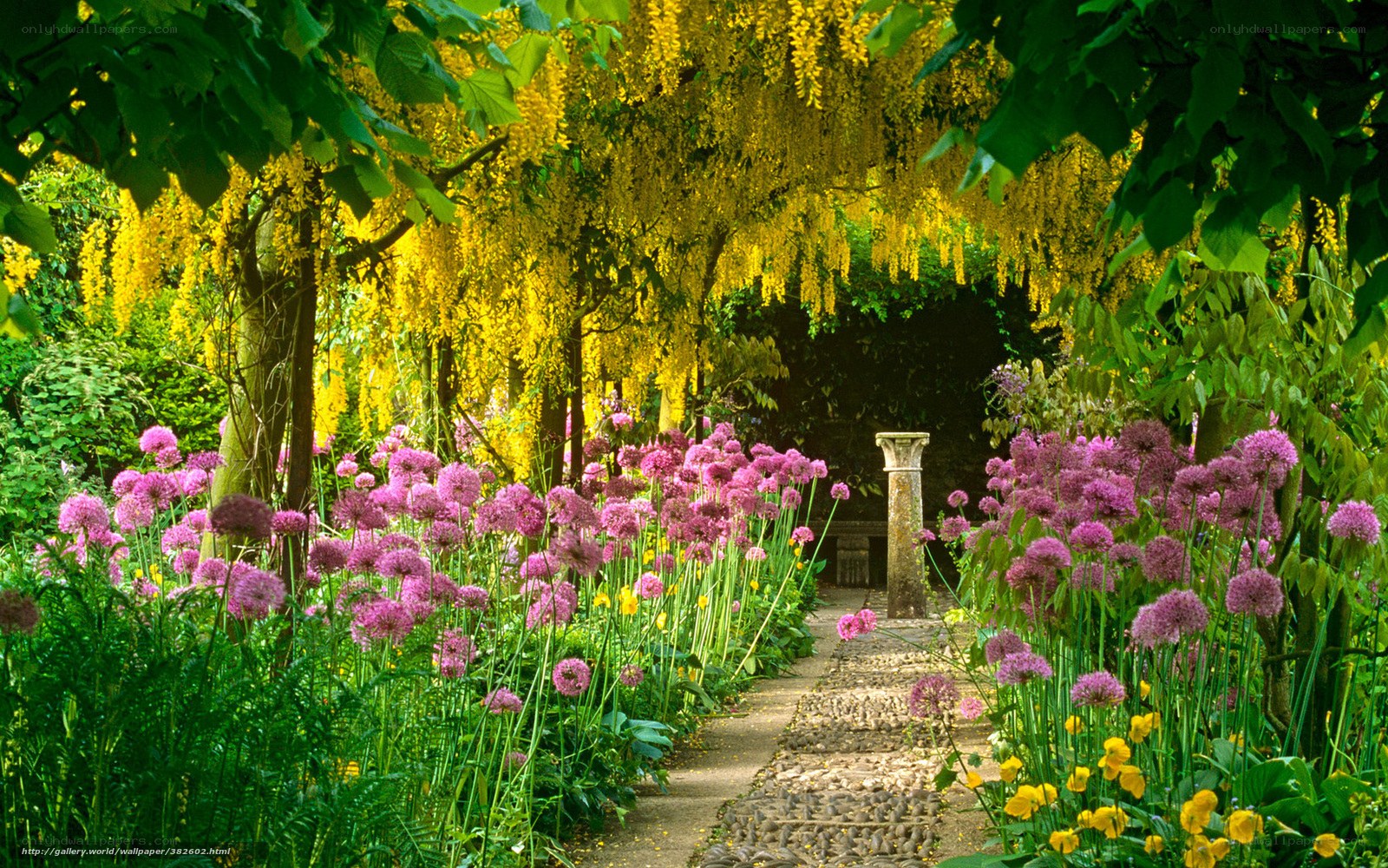 Garden path with yellow and purple flowers