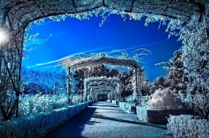 Garden Pathway Tunnel