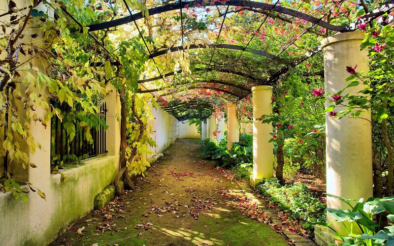 Garden Pathway with Arches — Green