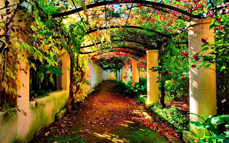 Garden Pathway with Arches