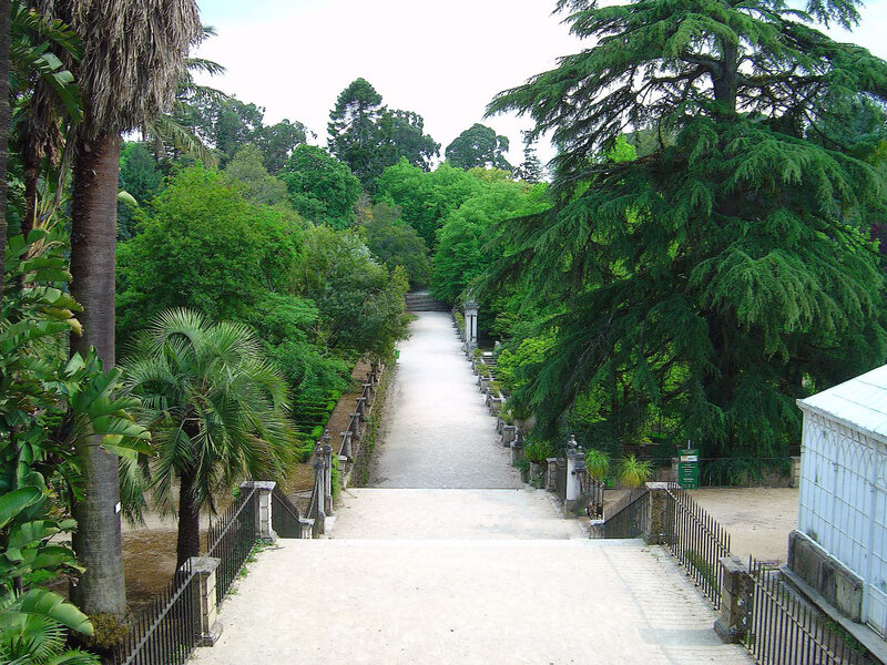 Garden pathway with trees