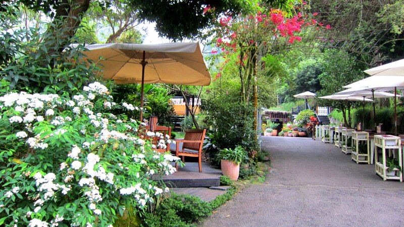 Garden Patio with Flowers — Green, Serene