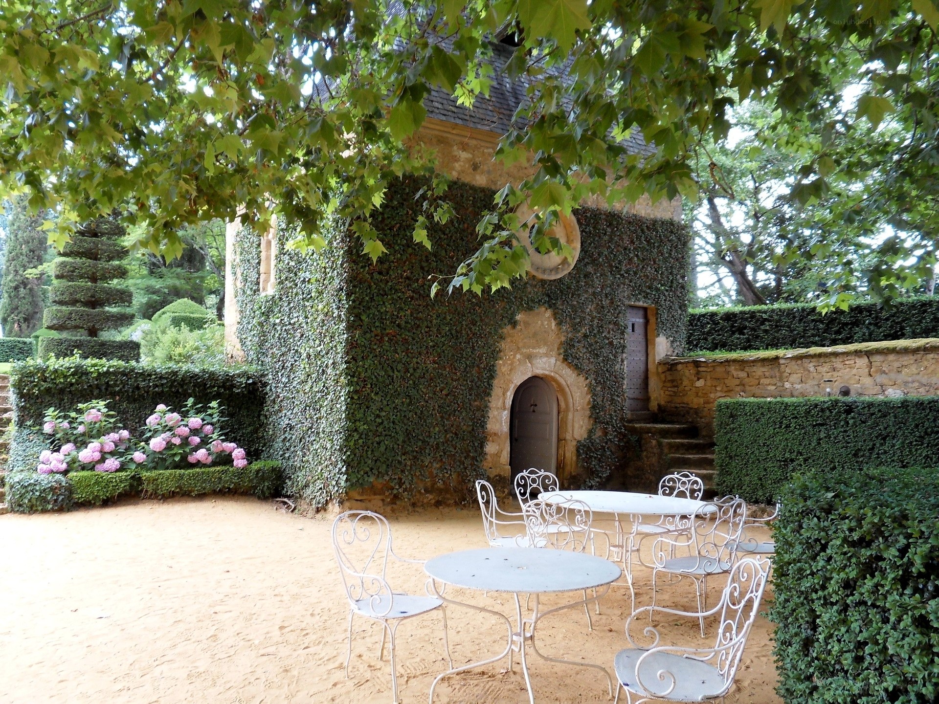Garden patio with ivy-covered building