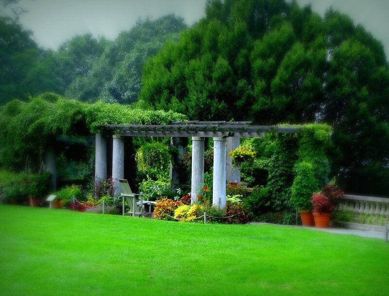 Garden Pergola with Flowers