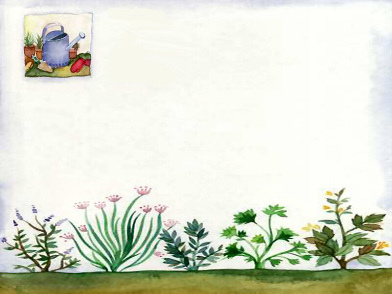 Garden Plants and Watering Can