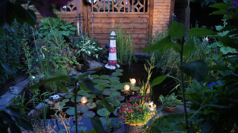 Garden pond at dusk