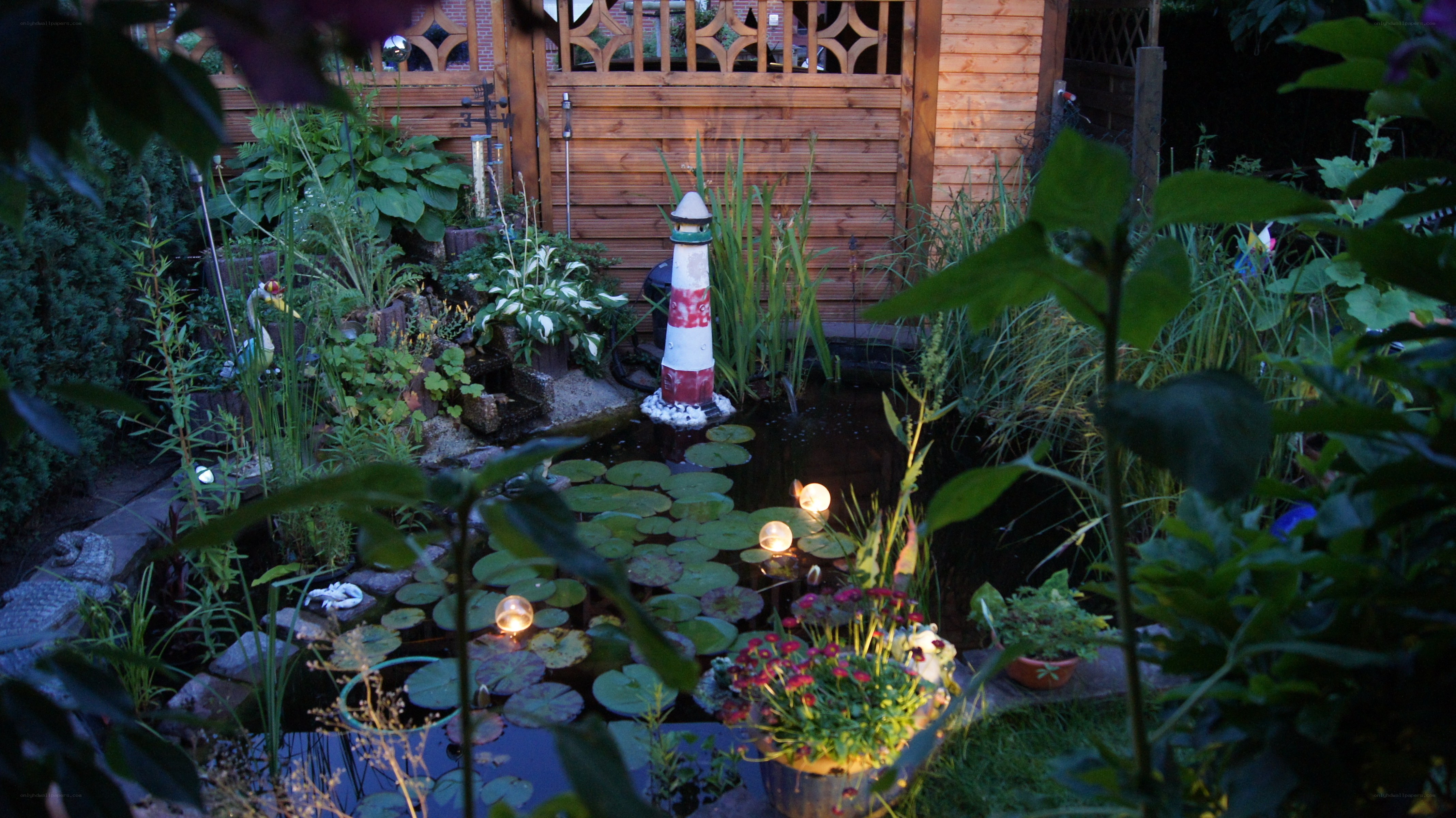 Garden pond at dusk