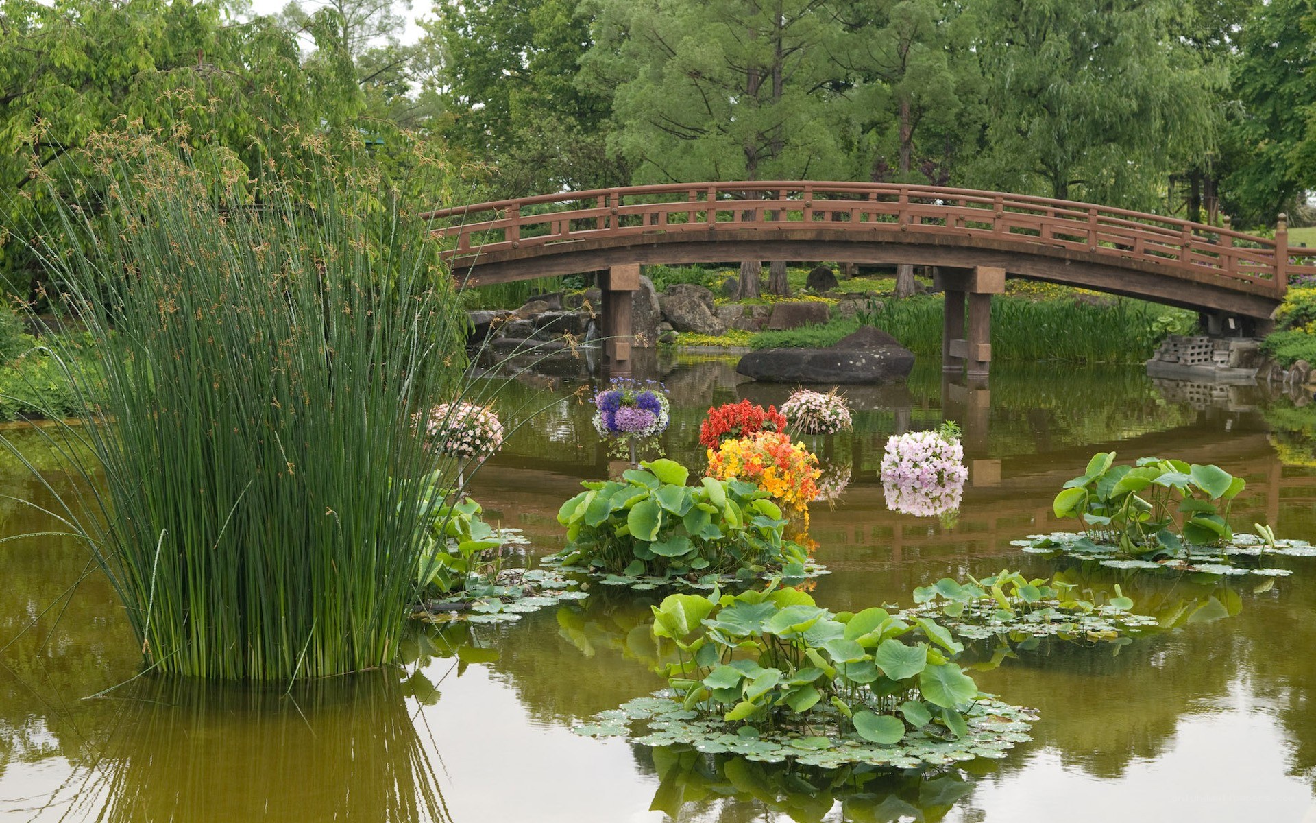 Garden pond with arched bridge
