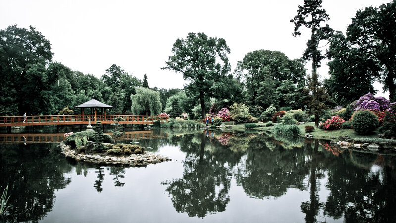 Garden Pond with Bridge — Green, Serene, Afternoon, Photograph