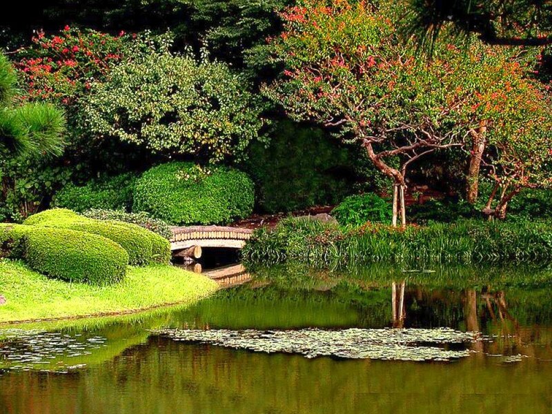 Garden Pond with Bridge