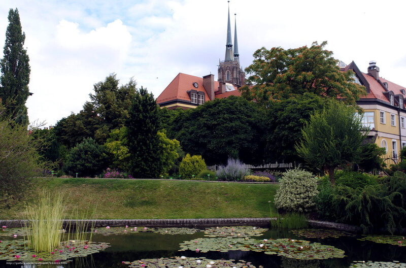 Garden pond with church spires