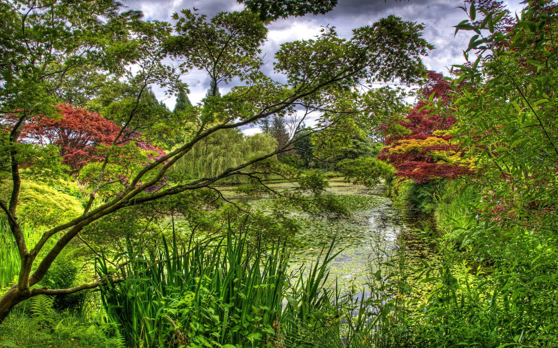 Garden pond with colorful trees
