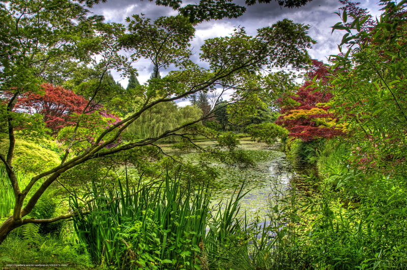 Garden pond with colorful trees