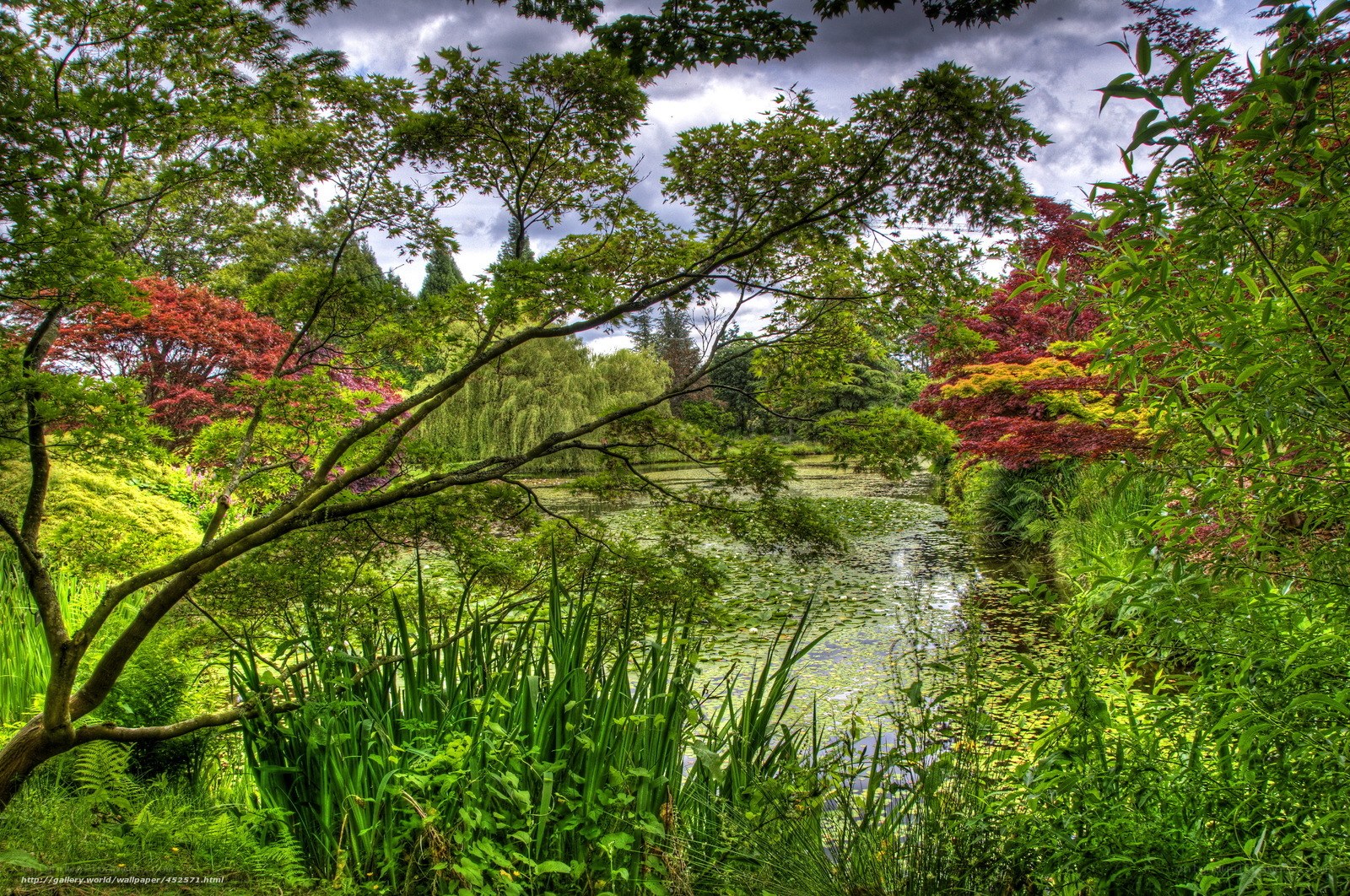 Garden pond with colorful trees