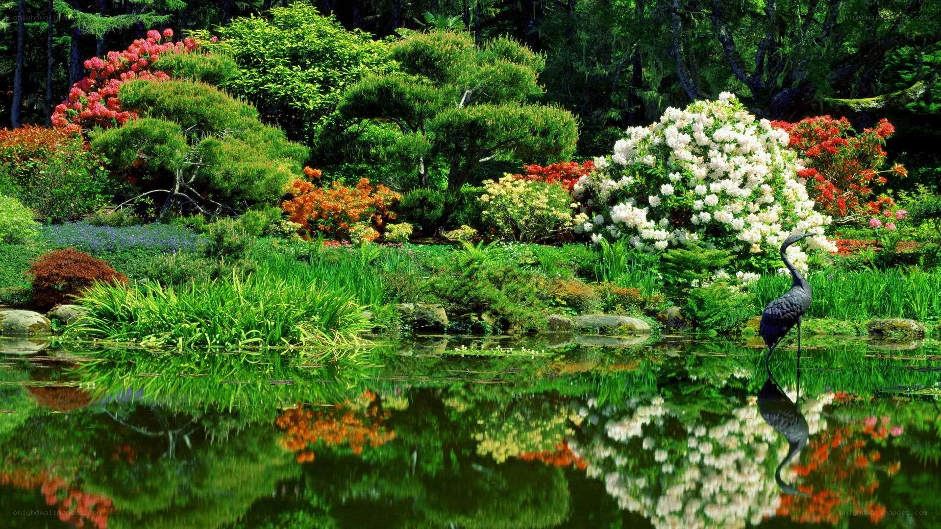 Garden pond with crane statue