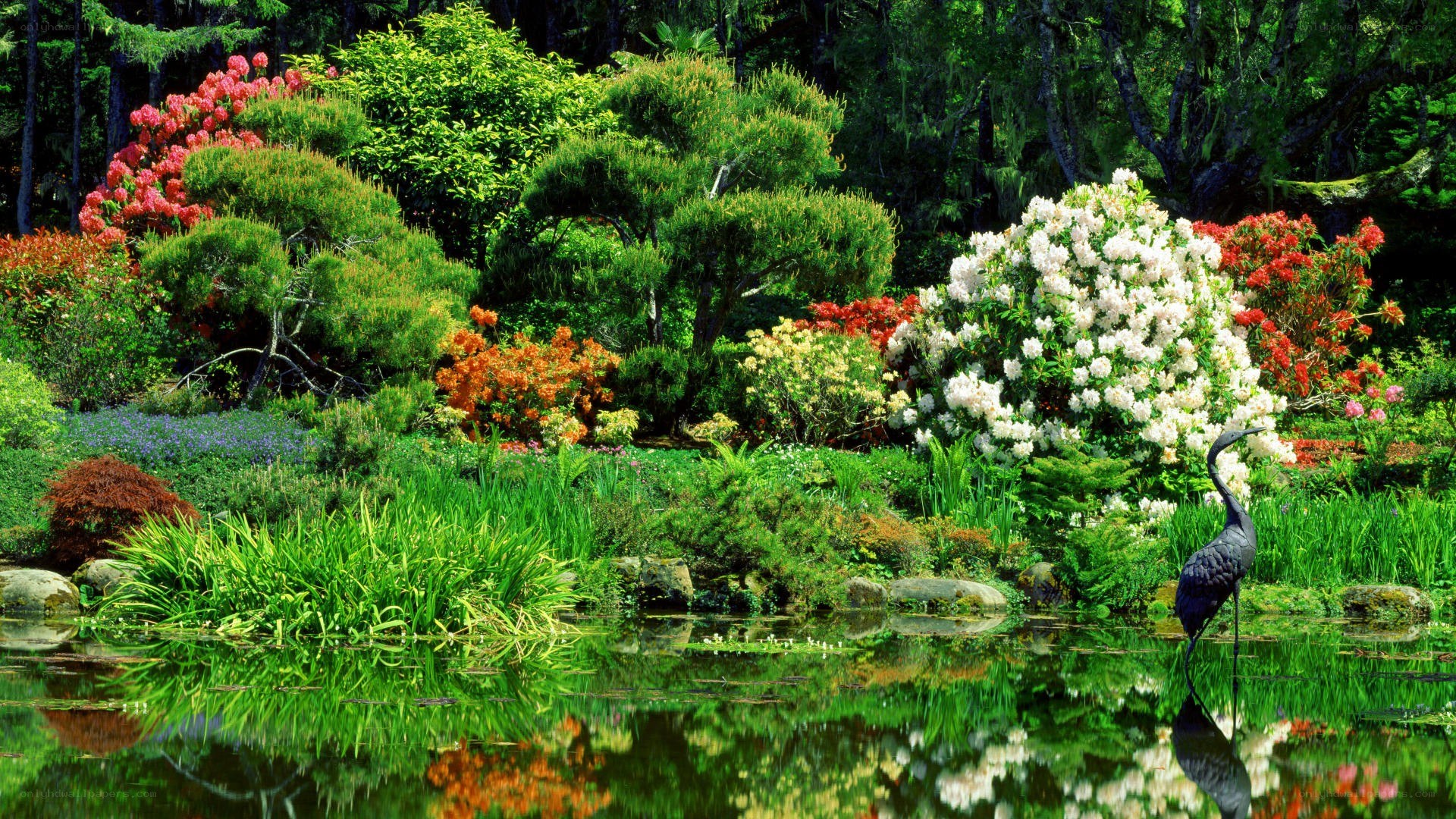 Garden pond with crane statue