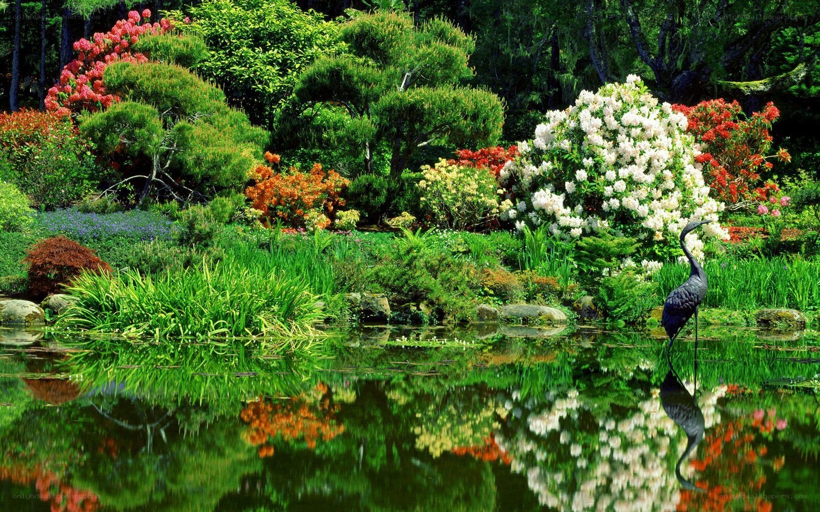 Garden pond with crane statue