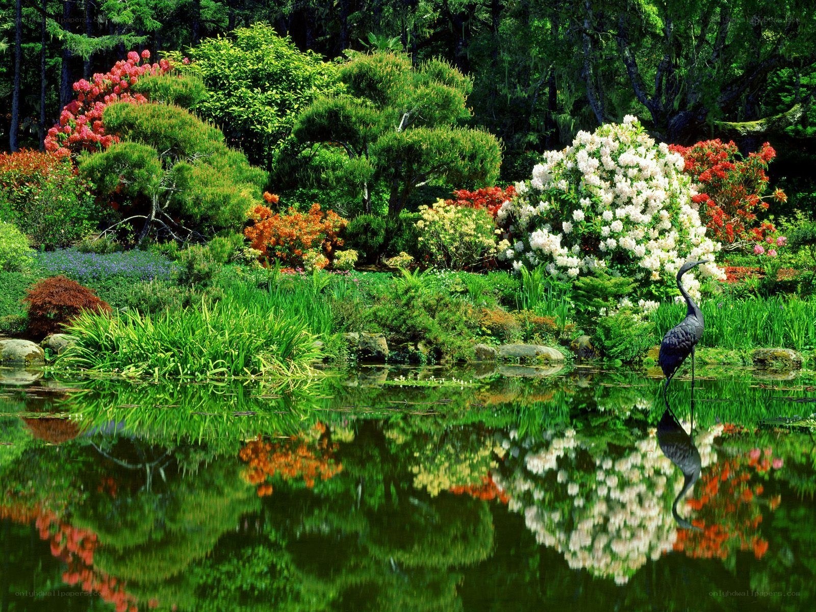 Garden pond with crane statue