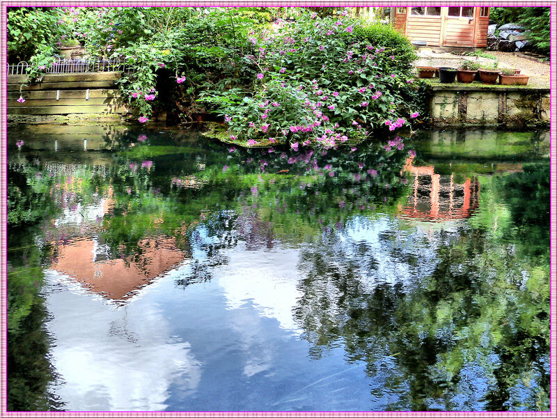 Garden pond with flower reflections
