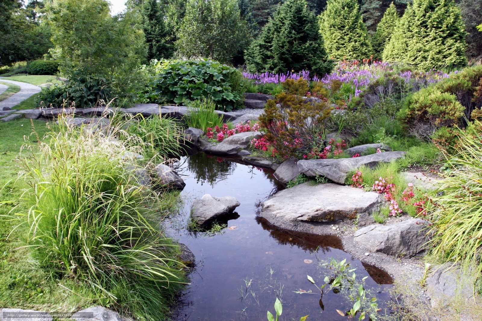 Garden pond with flowers and rocks