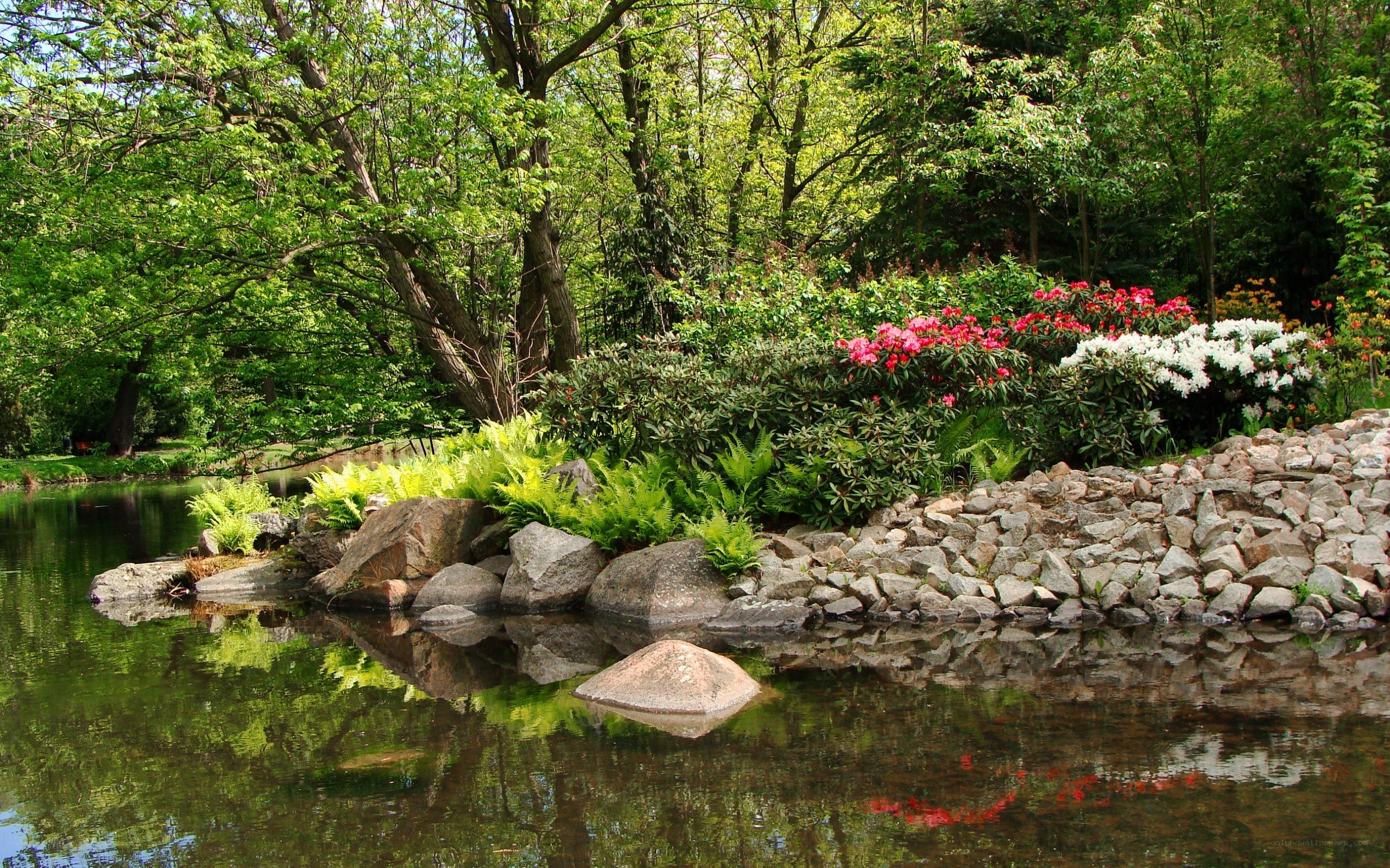 Garden pond with flowers and trees