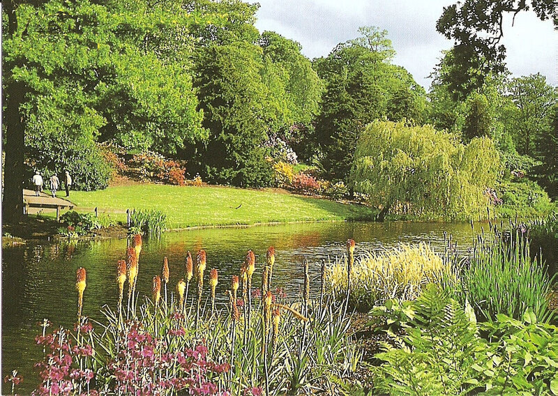 Garden pond with flowers and trees