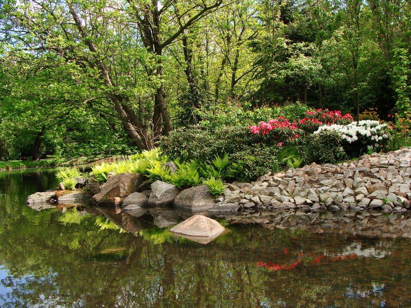 Garden pond with flowers and trees