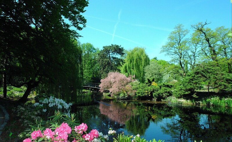 Garden Pond with Flowers — Green, Serene, Spring, Photograph, Trees, Bridge