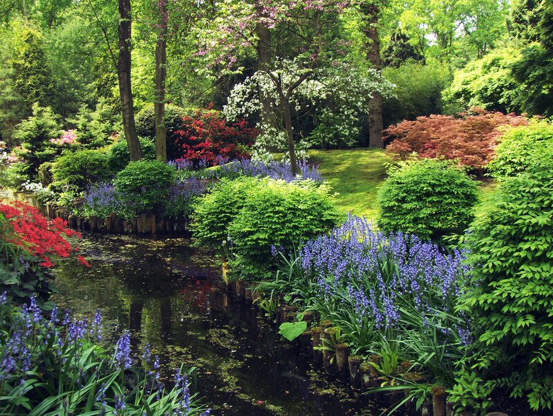 Garden Pond with Flowers — Green, Serene, Spring, Photograph, Trees, Bushes