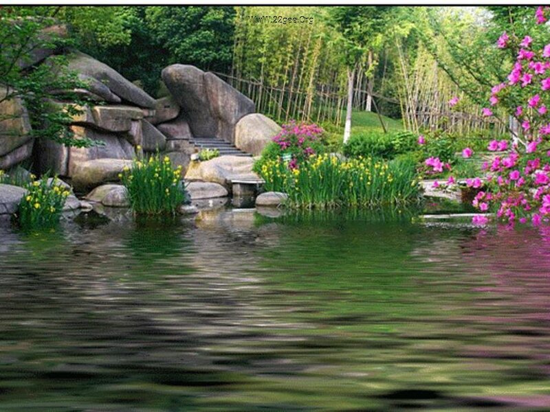 Garden Pond with Flowers — Green, Serene, Spring