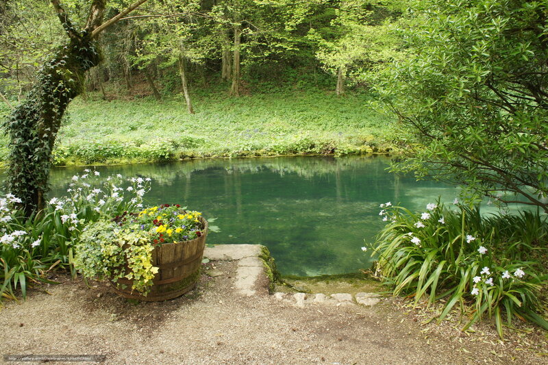 Garden pond with flowers
