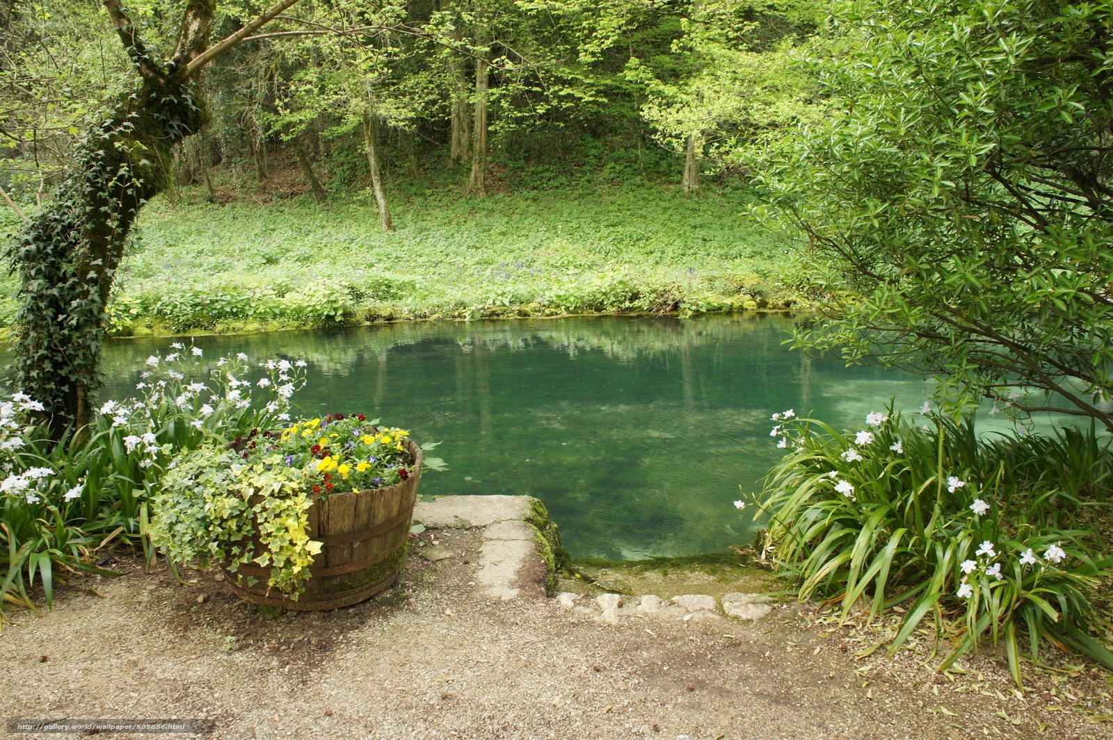 Garden pond with flowers