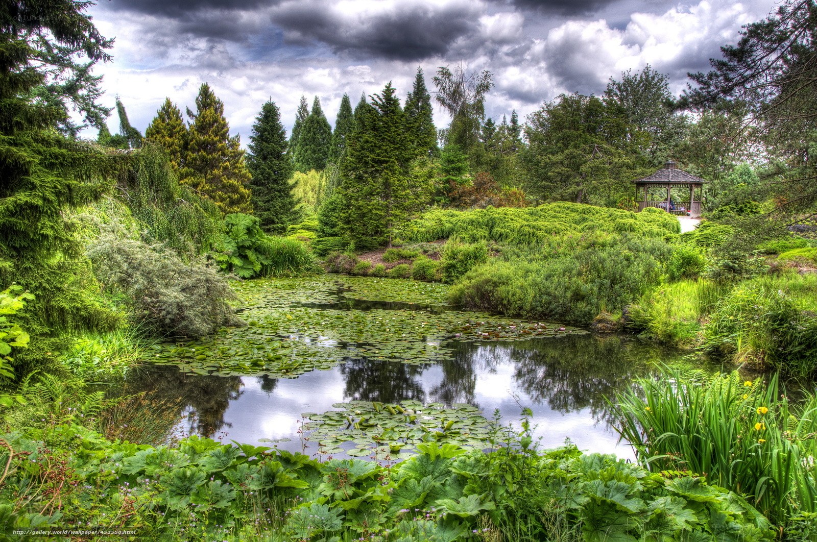 Garden pond with gazebo