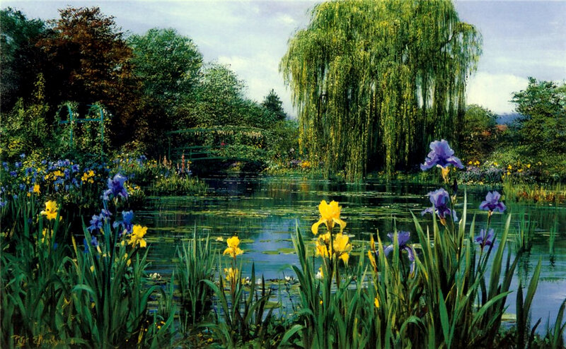 Garden pond with irises