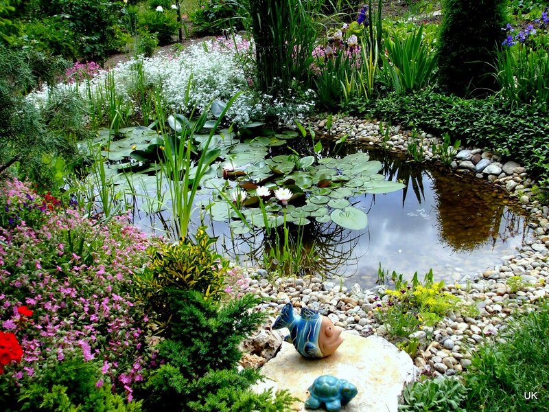 Garden Pond with Lilies — Green