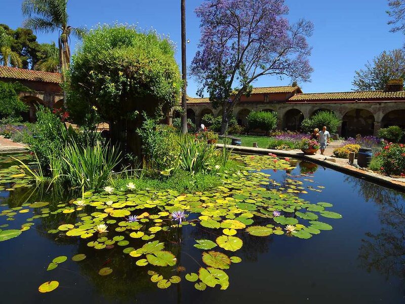 garden pond with lily pads