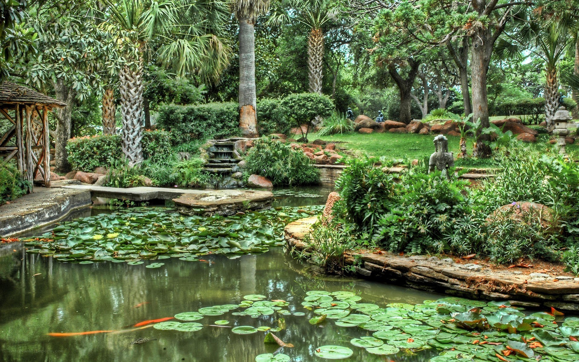 Garden pond with lily pads