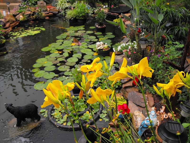 Garden pond with lily pads and flowers