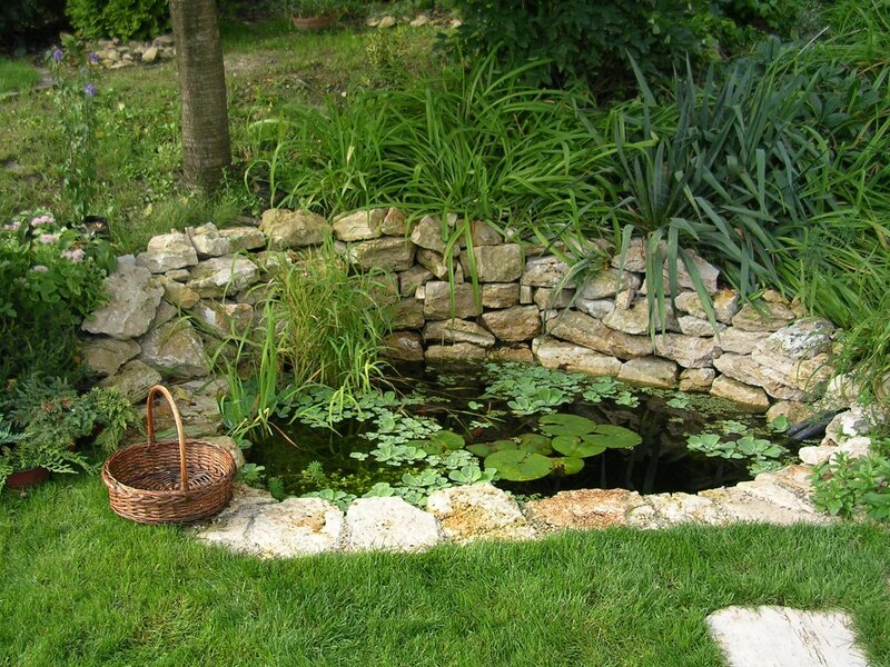 Garden Pond with Lily Pads — Green, Serene, Afternoon, Photograph, Wicker Basket