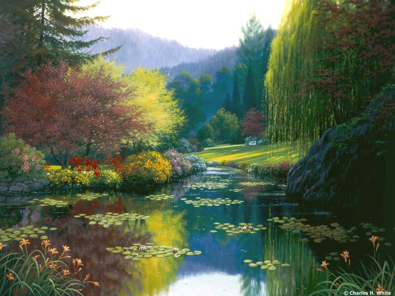 Garden Pond with Lily Pads — Green, Serene