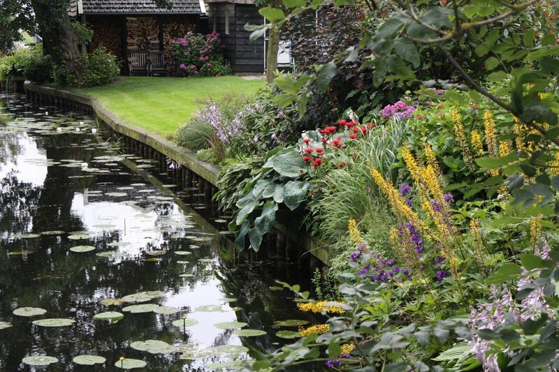 Garden Pond with Lily Pads — Green