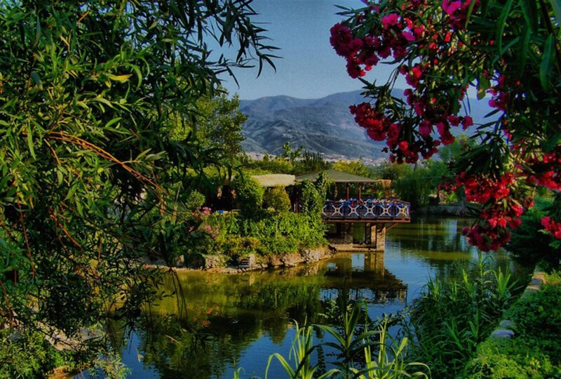 Garden pond with mountain view