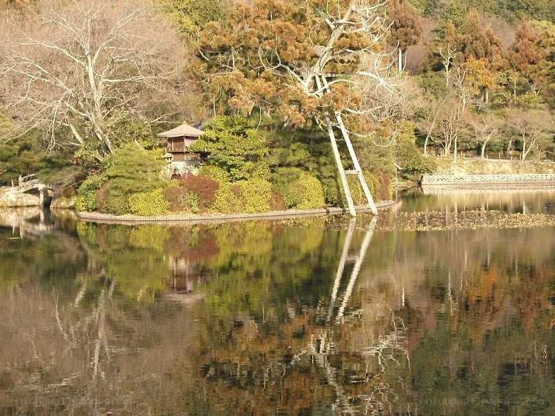 Garden pond with pagoda reflection