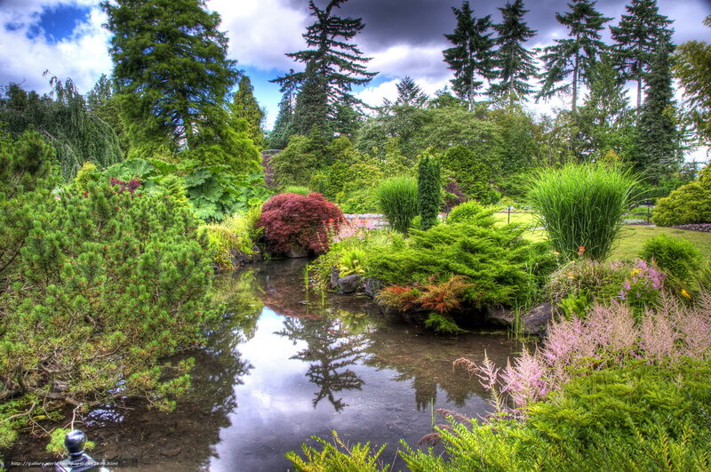 Garden Pond with Plants — Green