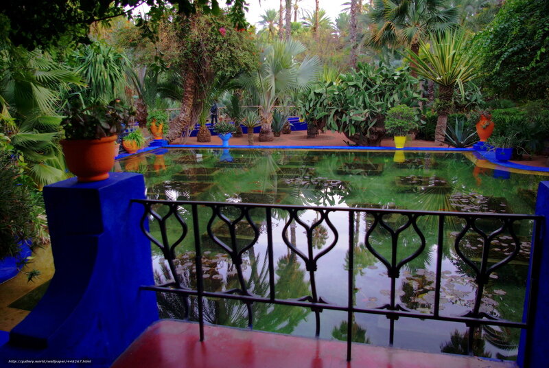 Garden Pond with Plants