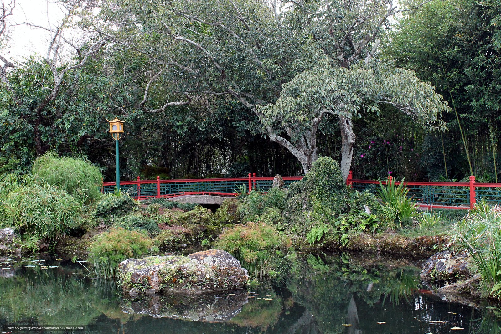 Garden pond with red bridge