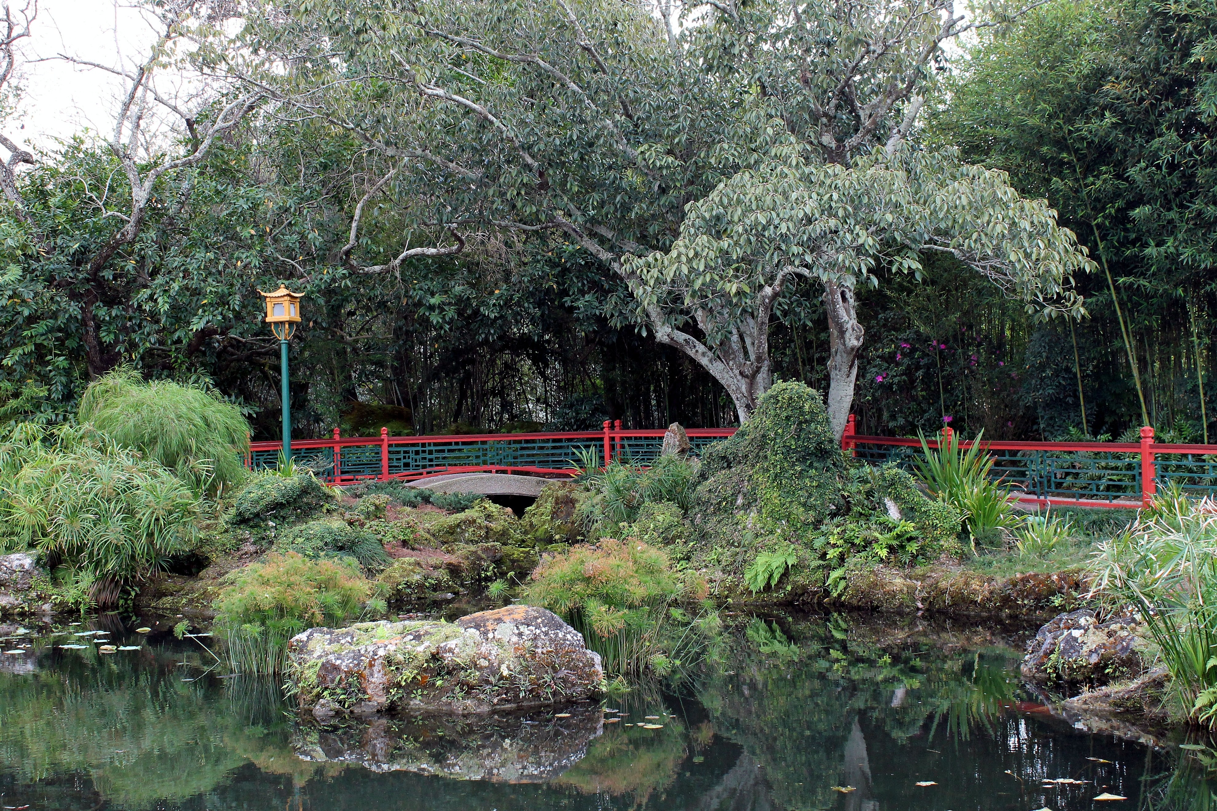 Garden pond with red bridge