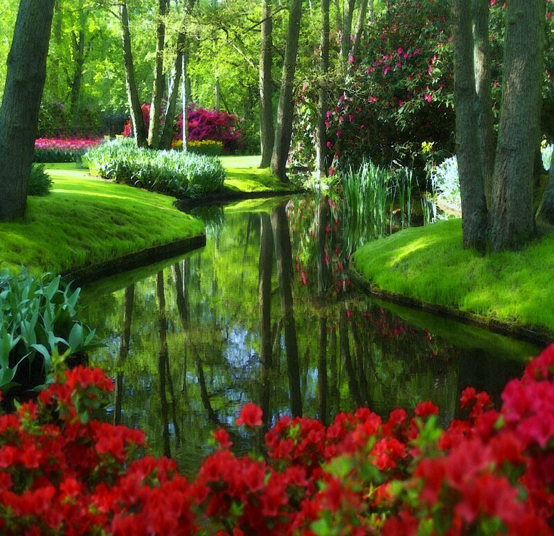 Garden pond with red flowers