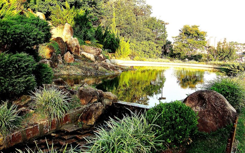 Garden pond with rocks and greenery