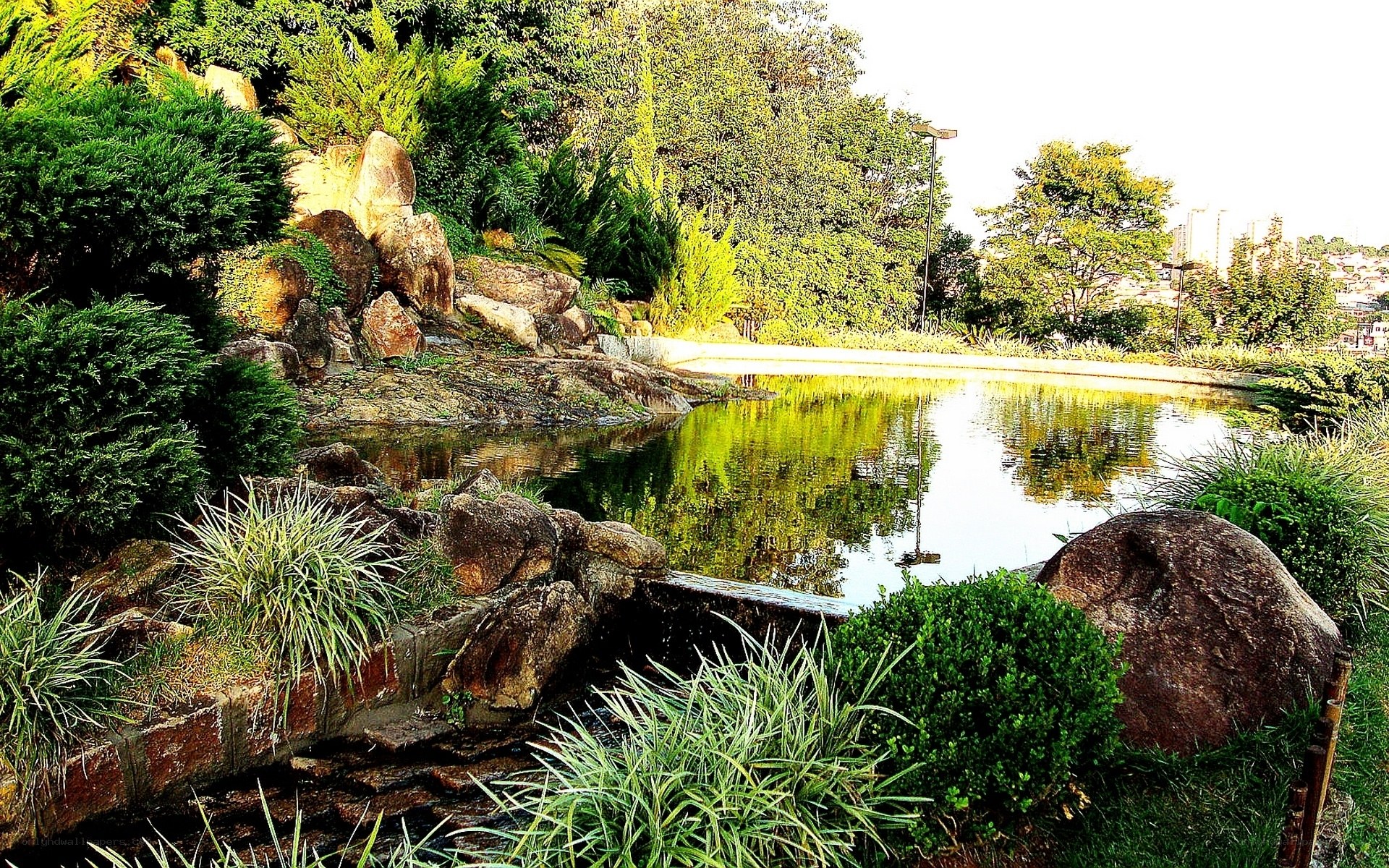 Garden pond with rocks and greenery